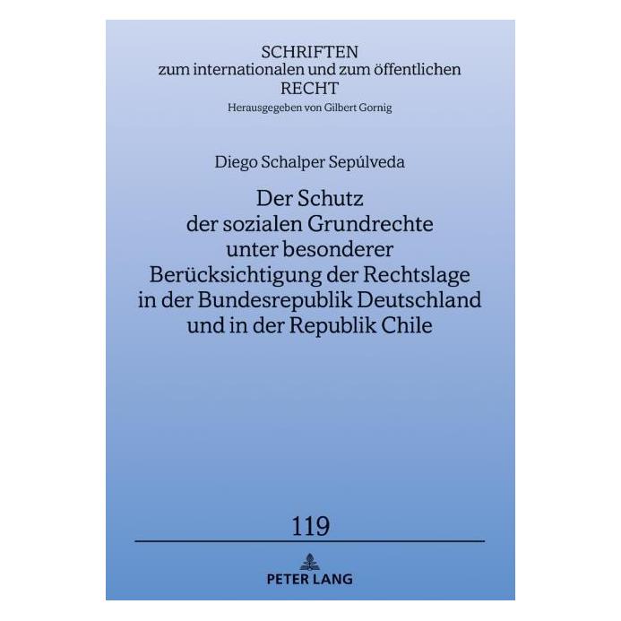 Peter Lang Schalper:Der Schutz der sozialen Grundr (Deutsch, Hardcover, Diego Schalper) (67839890)