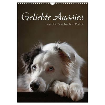 Geliebte Aussies - Australian Shepherds im Portrait (Wandkalender 2027 DIN A3 hoch), CALVENDO Monatskalender