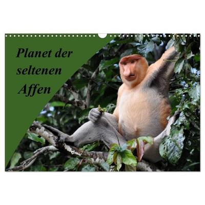 Planet der seltenen Affen (Wandkalender 2027 DIN A3 quer), CALVENDO Monatskalender
