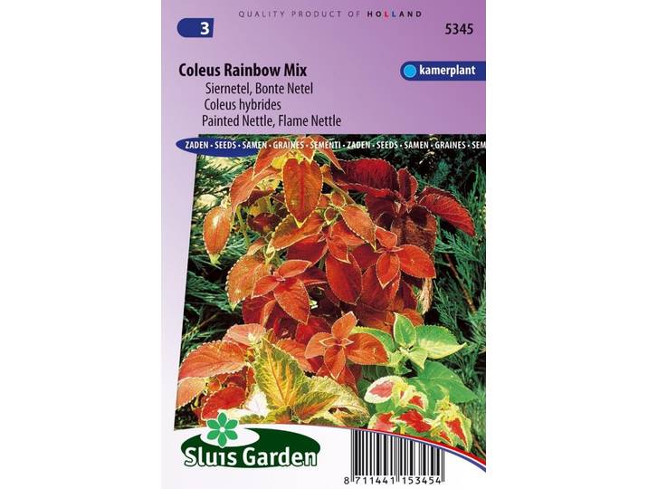 Coleus Blumei zaden Rainbow mix siernetel
