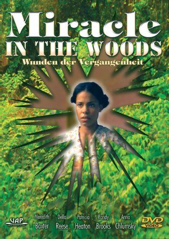 Arthur Allan Seidelman - Miracle in the Woods - Wunden der Vergangenheit - Preis vom 15.10.2026 23:06:25 h