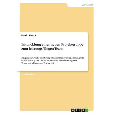 Entwicklung einer neuen Projektgruppe zum leistungsfähigen Team, Taschenbuch von David Hauck, GRIN, 978-3-640-57340-0