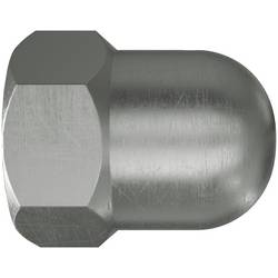 Fischer FAZ II Plus M12 R 569129 Hutmutter M12 Stahl rostfrei 20 St.