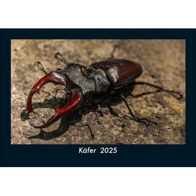 Käfer 2025 Fotokalender DIN A5