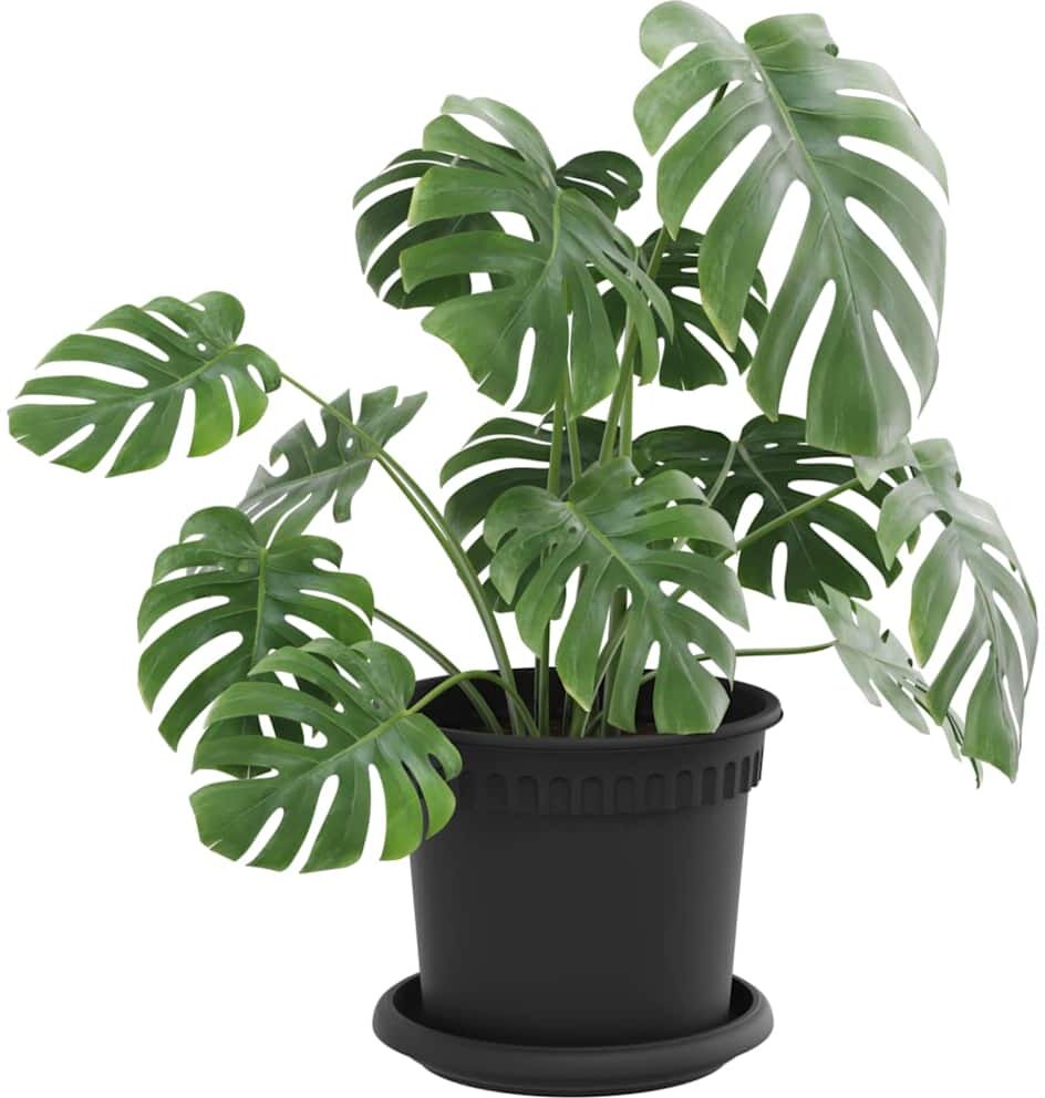 vidaXL Pots de plantes 6 pc Noir Plastique