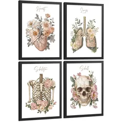 POSTER Set aus 4 Anatomie Mensch Florale Drucke und Wandbilder mit Herz Lungen Skelett und Schädel Stil Wanddekoration Größe Schwarzer Rahmen A3