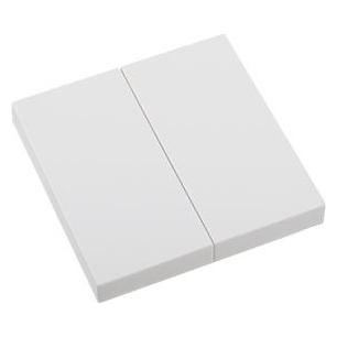 Eldat 2 Tasten Ein/Aus RTS23-ACC-01-02P2 für Wandtaster RTS23 weiss Format 55 (RTS23ACC0102P2)