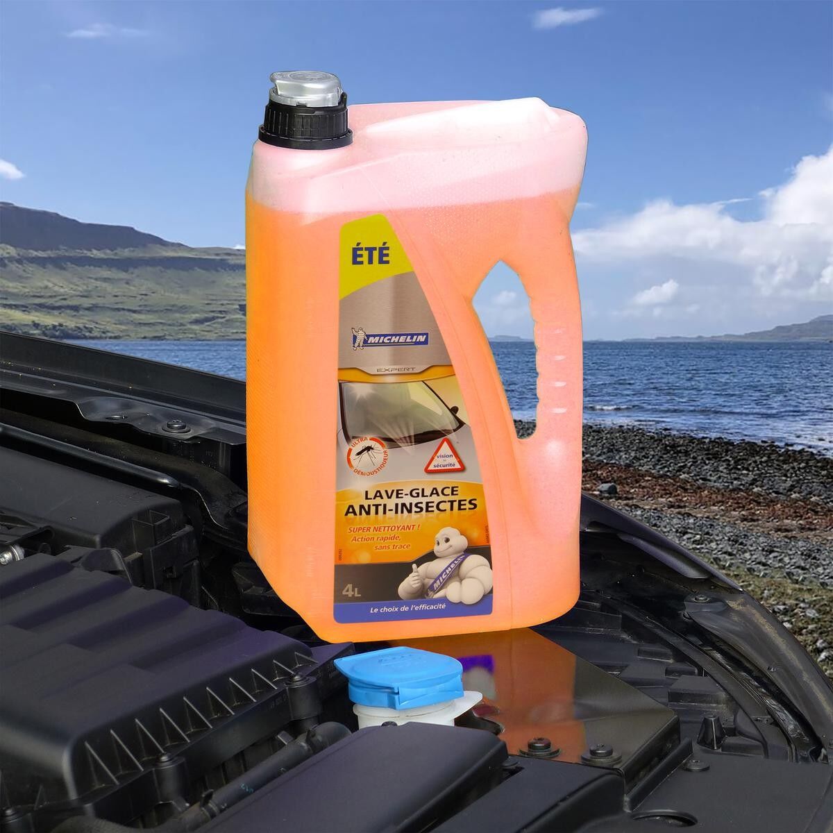Michelin 009292 Screenwash