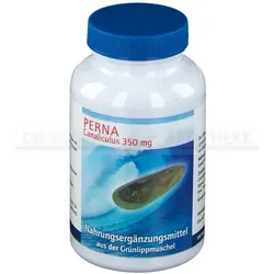 PERNA CANALICULUS 350 mg Kapseln 180 St