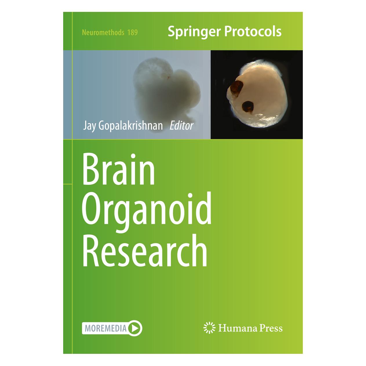 Springer Brain Organoid Research (Englisch, Softcover, Jay Gopalakrishnan) (56968511)