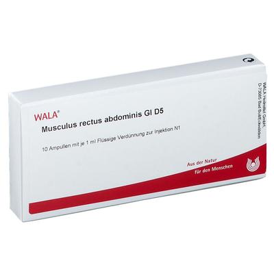 Musculus Rectus abdominis GL D 5 Ampullen 10x1 ml
