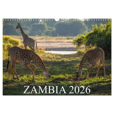 Zambia (Wall Calendar 2026 DIN A3 landscape), CALVENDO 12 Month Wall Calendar