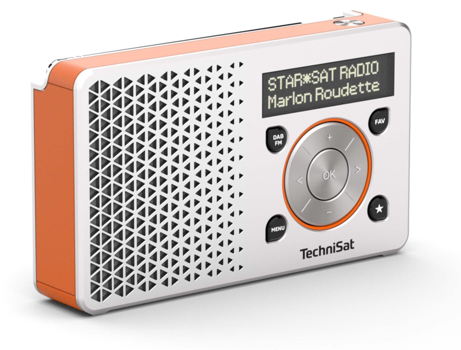 TechniSat DigitRadio 1 Draagbare Digitale Radio met DAB+ en FM