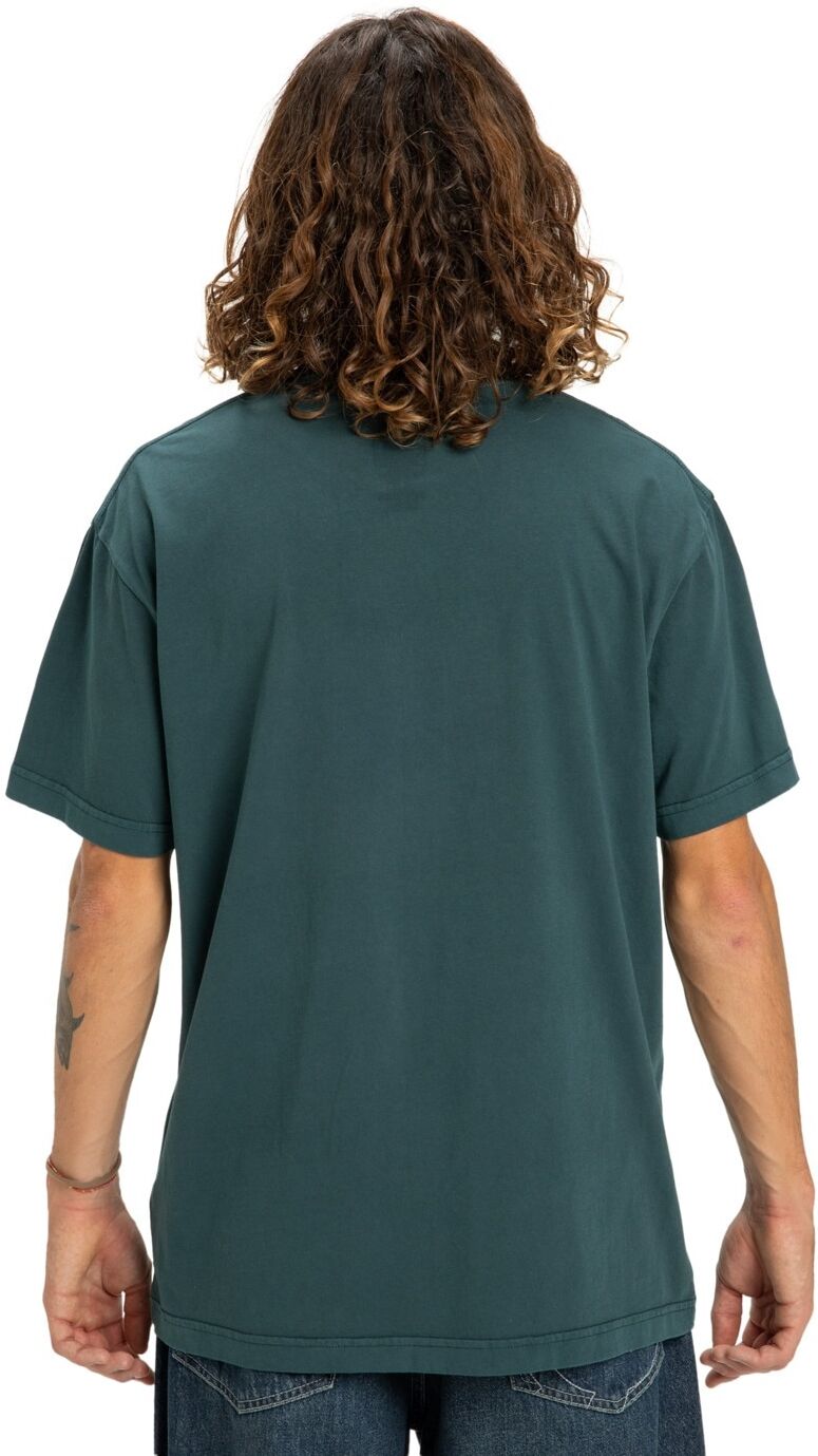 T-Shirt DC SHOES "DC Star Pigment Dye", Herren, Gr. XS, grün (ponderosa pine), Obermaterial: 75% Baumwolle, 25% Baumwolle., Shirts T-Shirt ponderosa pine XS