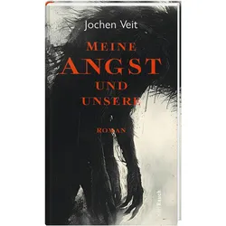 Meine Angst und unsere, Belletristik von Jochen Veit