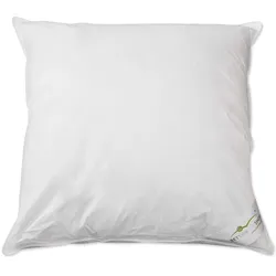 BettwarenShop, Kopfkissen, Exclusiv (60 x 60 cm)