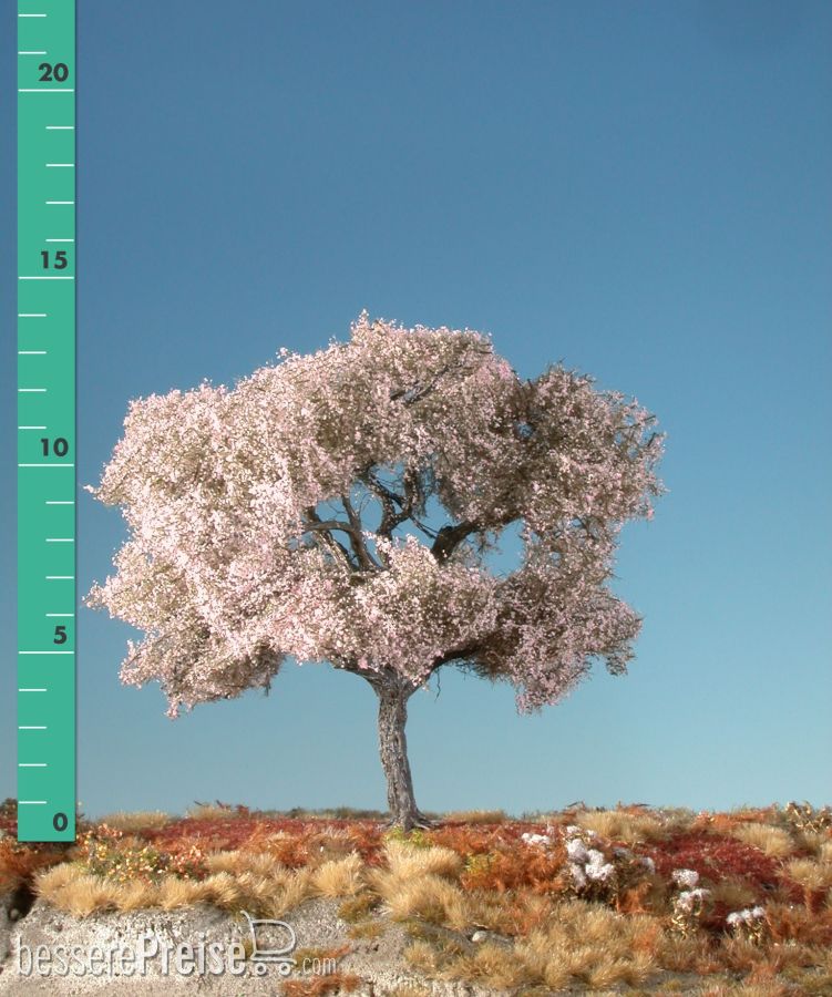 Silhouette 227-05