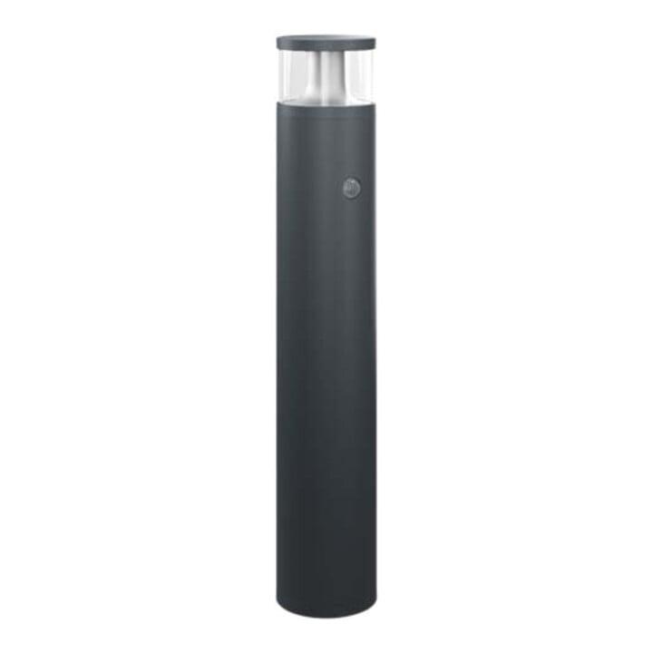 ESYLUX LED-Pollerleuchte 3000K anth DALI ALVABL940#EL10820403)