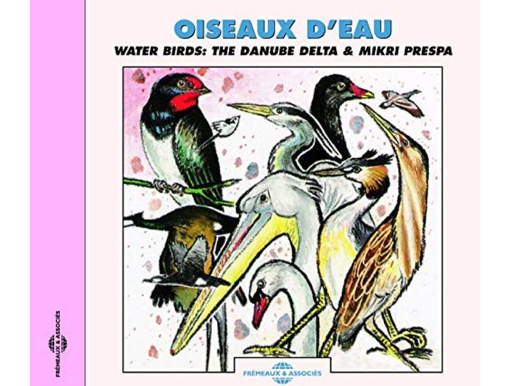 Sound Effects Birds - Water Birds The Danube Delta & Mikr