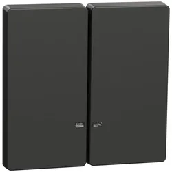 Merten MEG3420-6034 Doppelwippe mit Kontrollfenster, Anthrazit, System Design MEG34206034