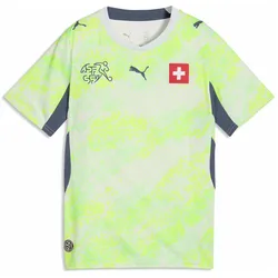 Puma, Unisex, Fussballtrikot, SFV Away Jersey Replica (128), Grün, Türkis