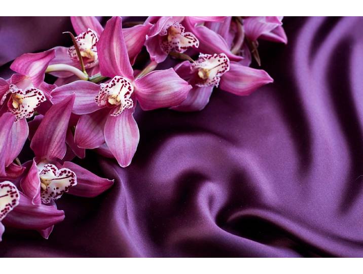 Fototapete PAPERMOON ORCHIDEEN-SEIDE ART DESIGN ABSTRAKT MUSTER DECOR KUNST , bunt, B:5m L:2,8m, Vlies, Tapeten, Fototapete