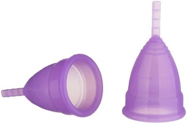 Sangool Copo Menstrual tamanho 2