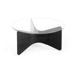 Couchtisch Madera Schwarz/Transparent