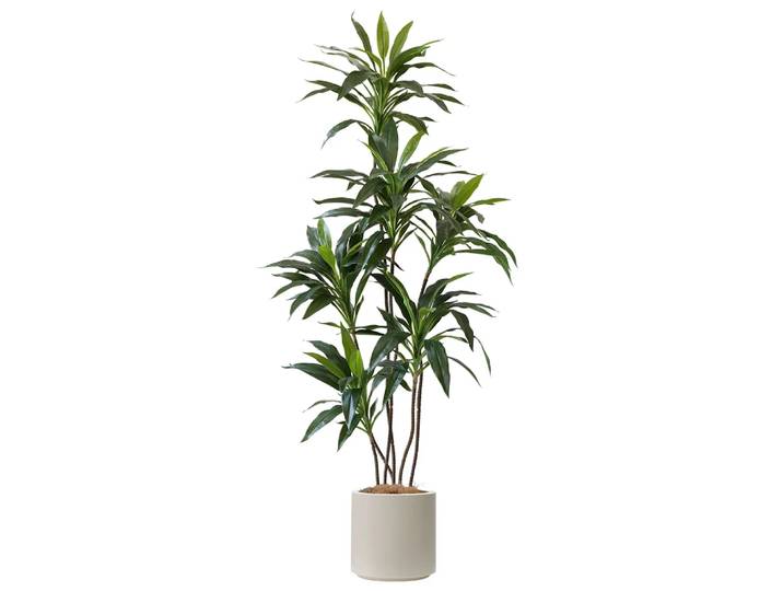 Simulation de plantes vertes, décoration intérieure de la maison, faux Pot d'arbre, feuilles, accessoires de tir en velours, accessoires pour la maison