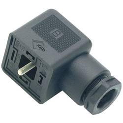 GERÄTEDOSE 3POL 43-1726-110-03 Schwarz Pole:2+PE 43-1726-110-03-20 binder Inhalt: 1 St.