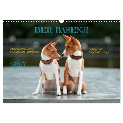 Der Basenji (Wandkalender 2027 DIN A3 quer), CALVENDO Monatskalender