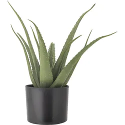 Bloomingville Künstliche Topfblume S Aloe
