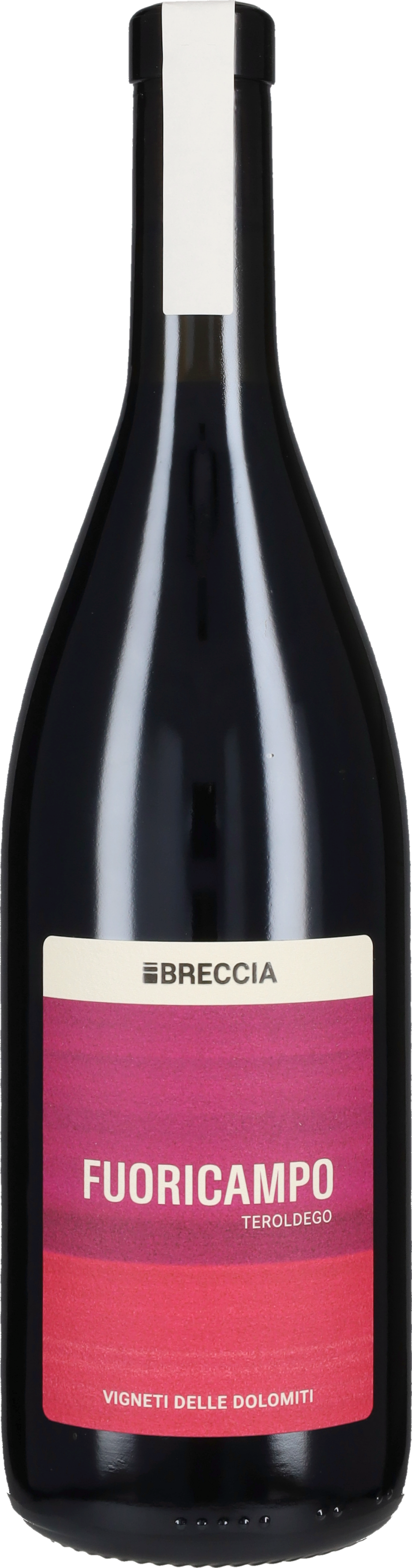 Teroldego 'Fuoricampo' Breccia 2022