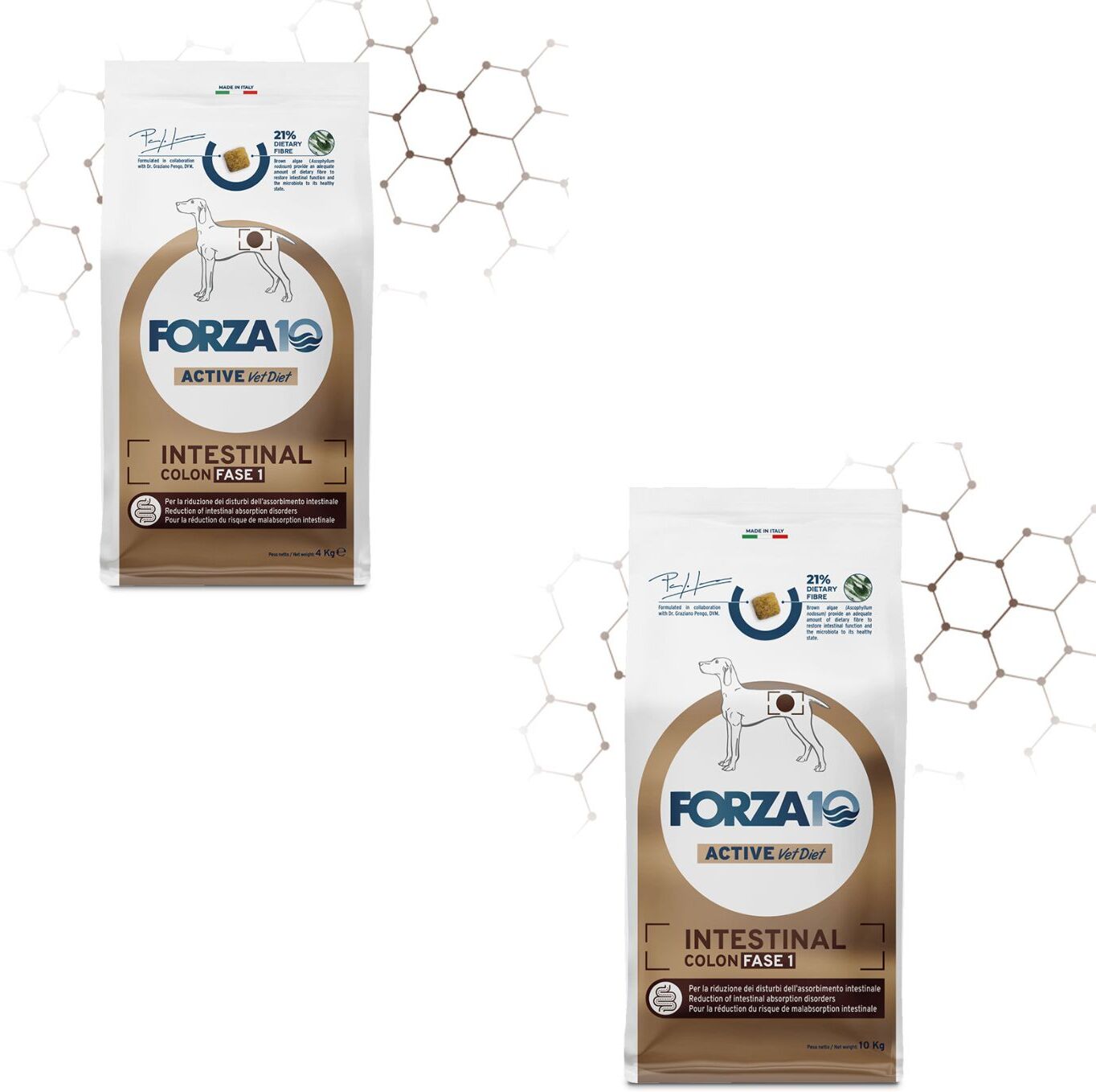 Forza10 Forza 10 Intestinal Colon Fase 1 Pesce per Cani Adulti