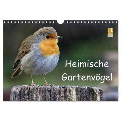 Heimische Gartenvögel (Wandkalender 2027 DIN A4 quer), CALVENDO Monatskalender