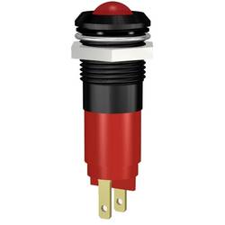 Signal Construct SWDU14724A LED-Signalleuchte Grün 24 V DC/AC Tray