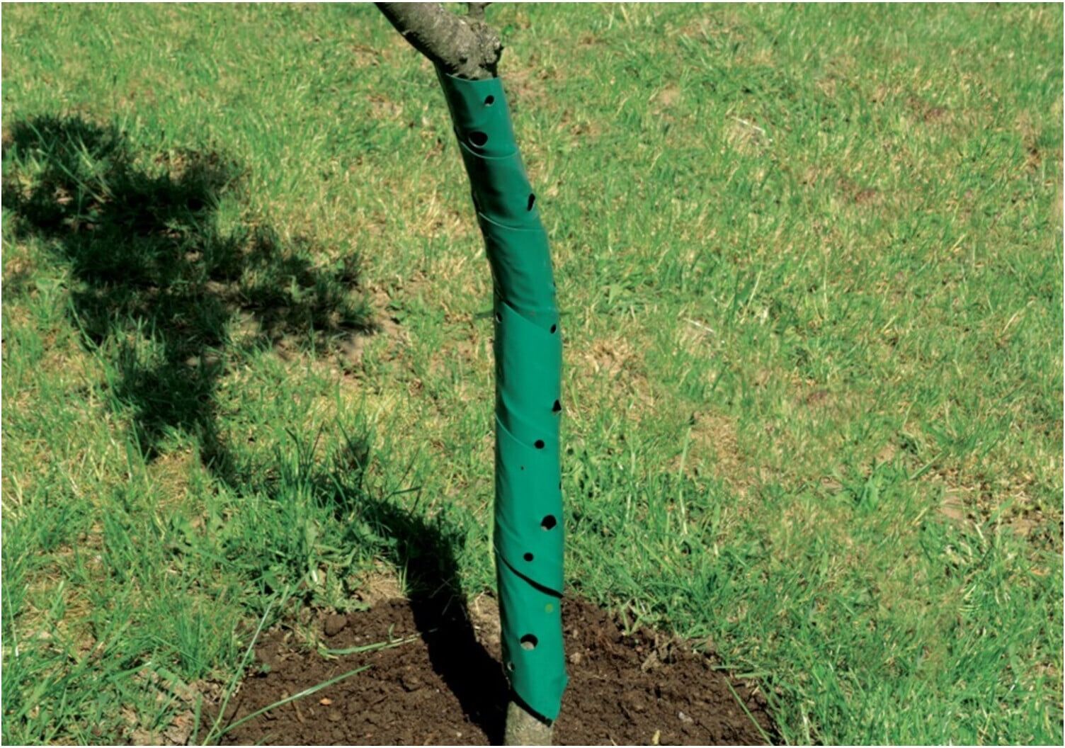 floraworld Baumschutzspirale 2er, 60 cm (11386)