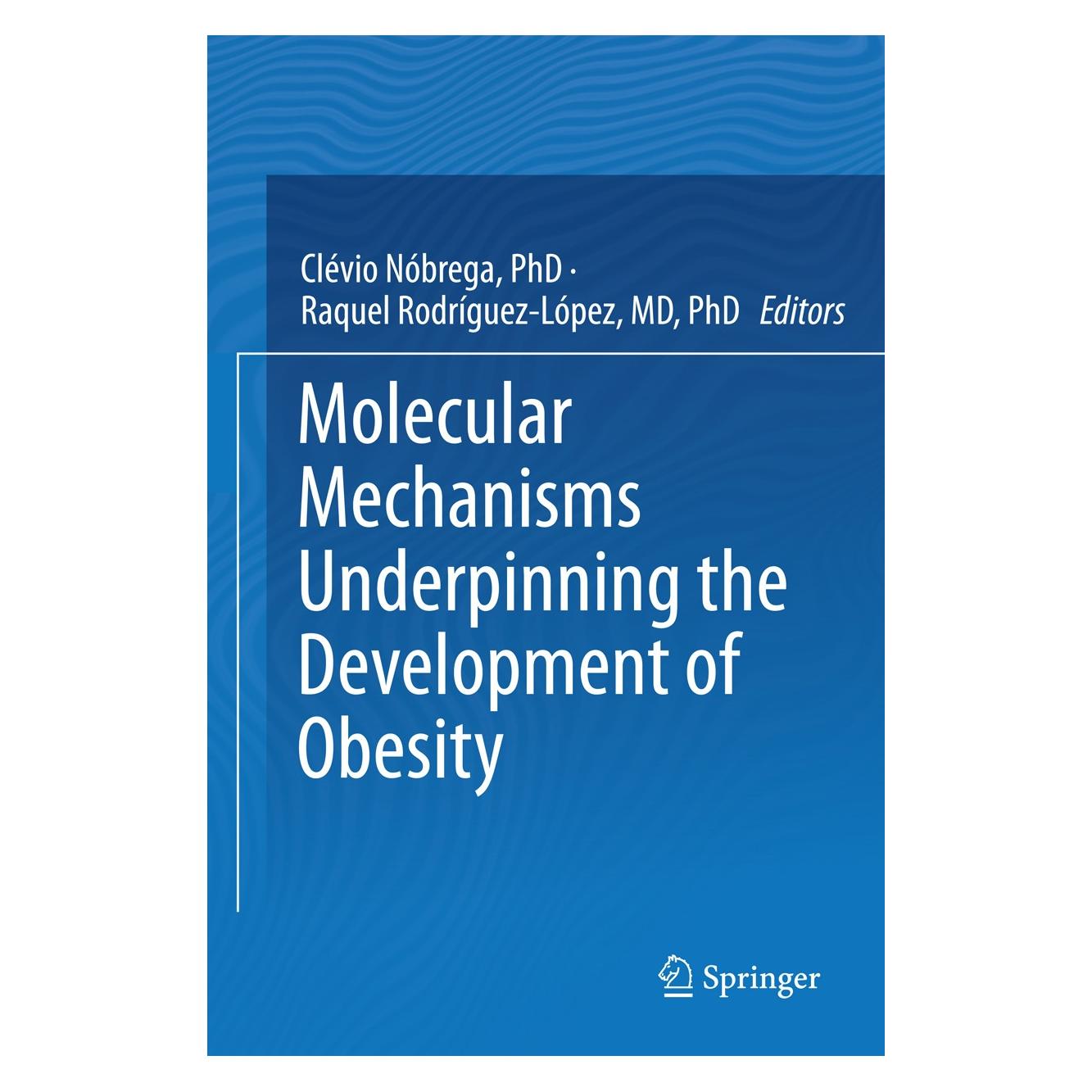 Springer Molecular Mechanisms Underpinning the D (Englisch, Hardcover, Clévio Nóbrega, Raquel Rodriguez-López) (9783319127651)