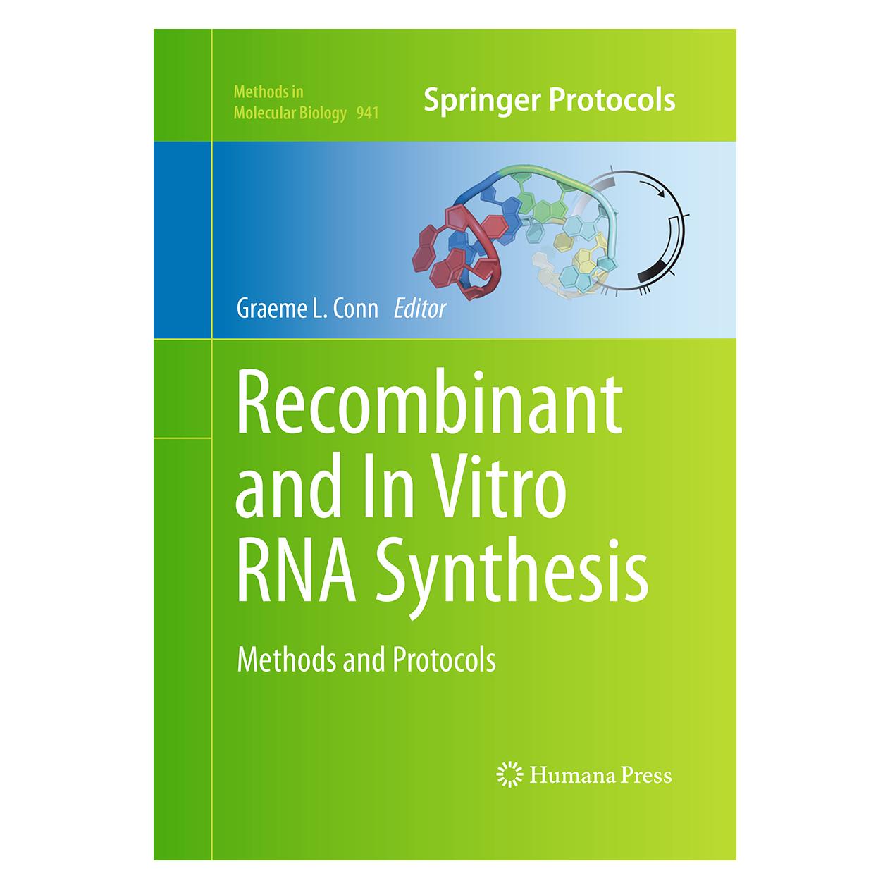 Springer Recombinant and In Vitro RNA Synthesis (Englisch, Softcover, G. Conn, Graeme L. Conn) (55965321)