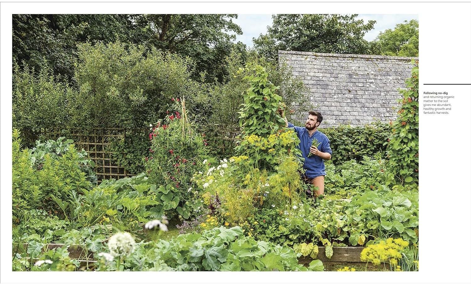 DK The Vegetable Grower's Handbook: Unearth Your Garden's Full Potential by Huw Richards