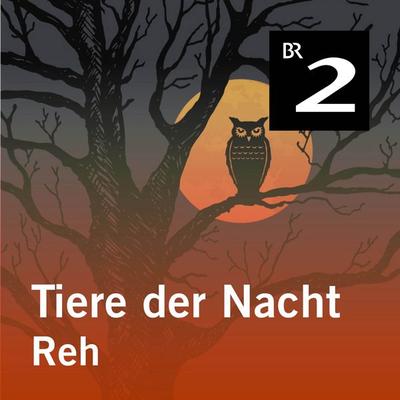 Tiere der Nacht: Reh - Silke Wolfrum, Audio, 4057664414229