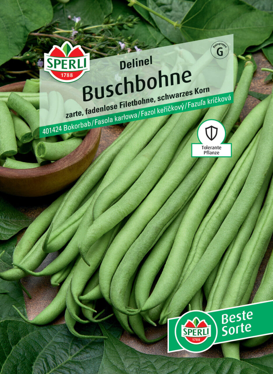 Sperli Buschbohne Delinel