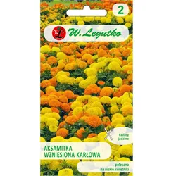Aufrecht wachsende Zinnien-Mischung