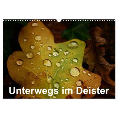 Unterwegs im Deister (Wandkalender 2026 DIN A3 quer), CALVENDO Monatskalender