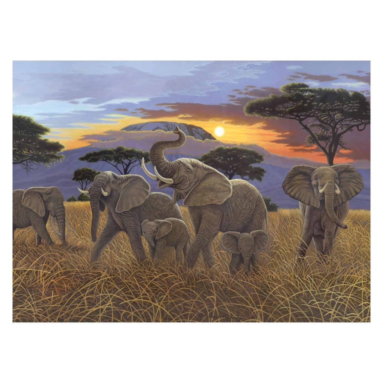 Magni PRACHT Malen nach Zahlen Junior Elefant 40x32,5cm (32833917)