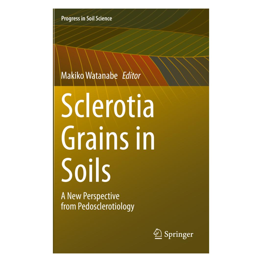 Springer Sclerotia Grains in Soils (Englisch, Softcover, Makiko Watanabe) (56236467)