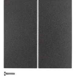 Berker KNX-Funk Taste 4-fach anthrazitmatt 85648185
