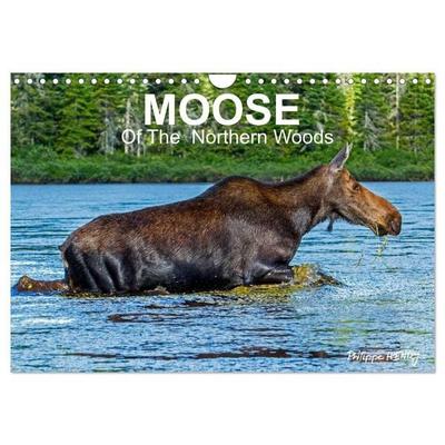 MOOSE Of The Northern Woods (Wall Calendar 2027 DIN A4 landscape), CALVENDO 12 Month Wall Calendar