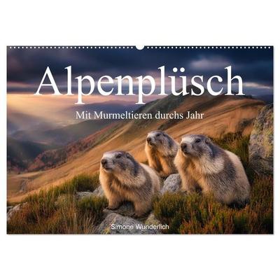 Alpenplüsch - Mit Murmeltieren durchs Jahr (Wandkalender 2027 DIN A2 quer), CALVENDO Monatskalender