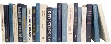 Booth & Williams Decorative Books - Coastal Shores Books - Blue Books By The Foot